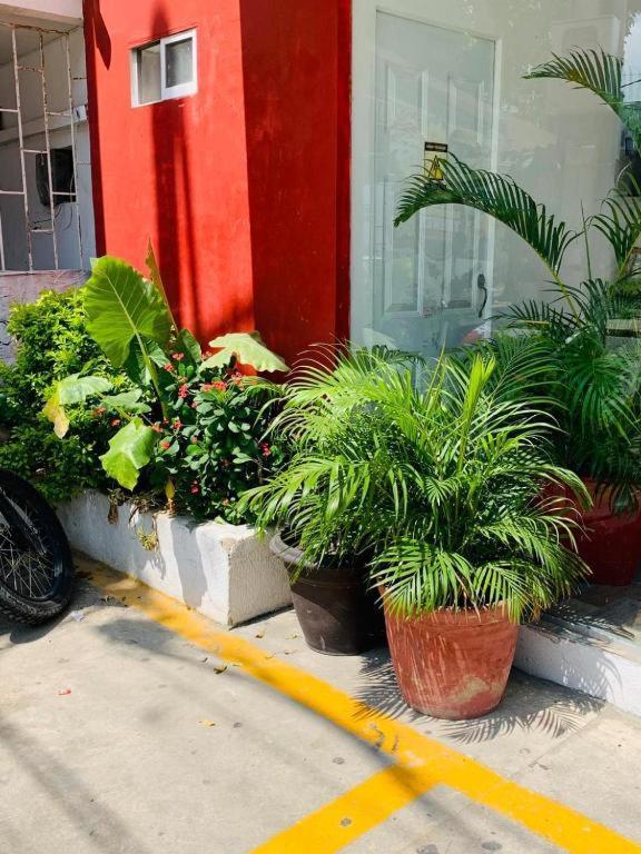 Hotel Bellamar Cartagena Екстериор снимка